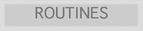 SUB-PROGRAMS (ROUTINES)