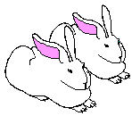 FIBONACCI'S RABBITS